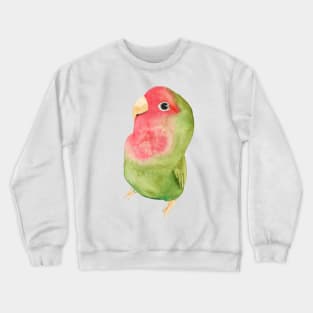 Watercolor melon loverbird lovebird parrot bird pink and green Crewneck Sweatshirt